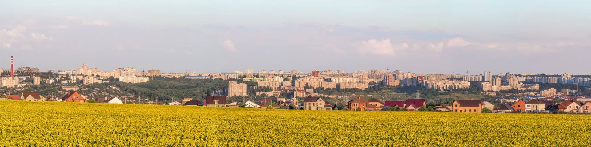 Large wide panorama of the southern residential district of Belgorod city. White city, Russia. Skyline of the city on hills behind a sunflowers field.