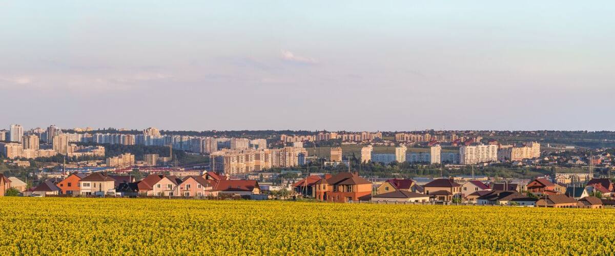A cityscape with a large sunflower field in the foreground and a dense urban area in the background.