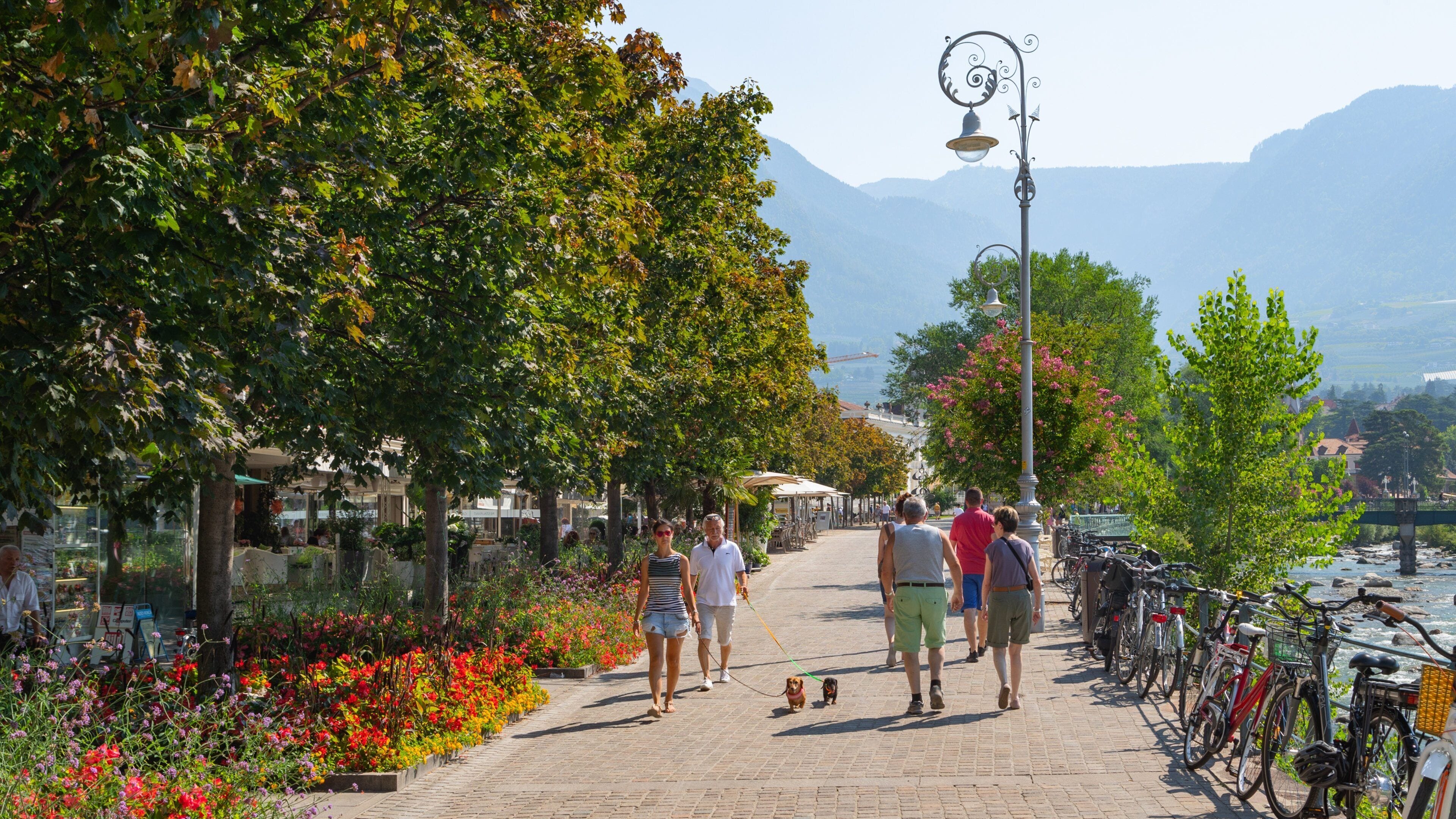Merano which includes a park and flowers as well as a small group of people