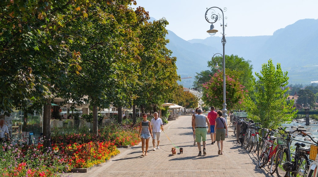 Merano which includes a park and flowers as well as a small group of people