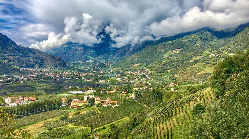 View over Algund near Merano,Italy