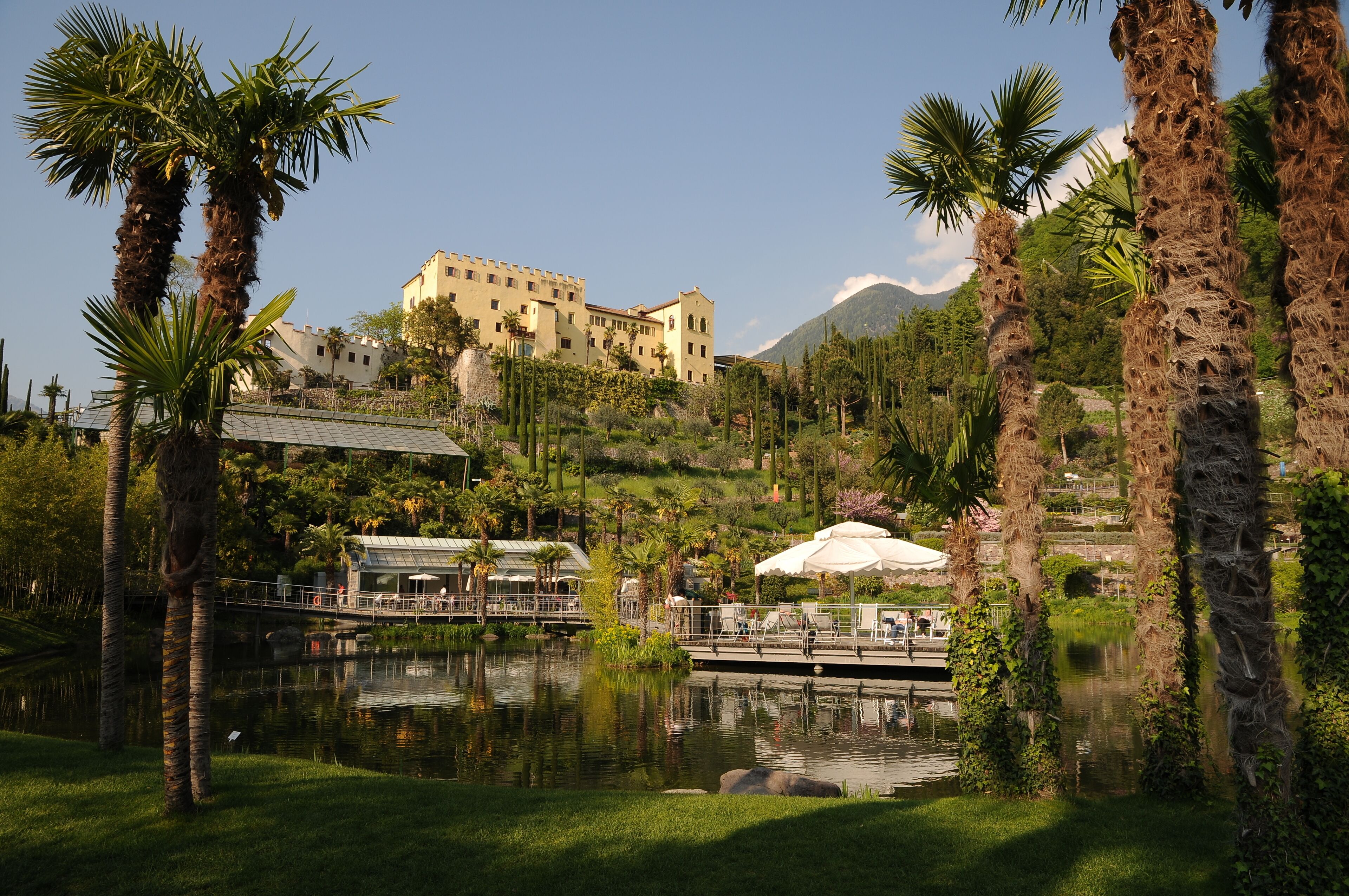 A serene lakeside garden with palm trees, a bridge, and a large building in the background.