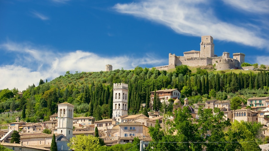 Assisi featuring a city and heritage architecture