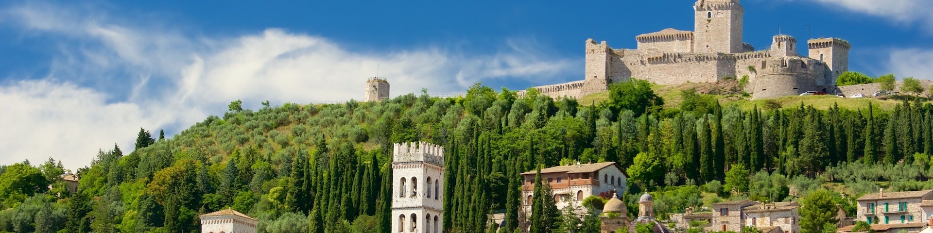 Assisi featuring a city and heritage architecture