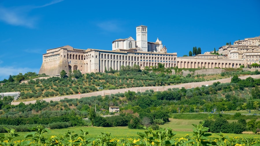 Assisi