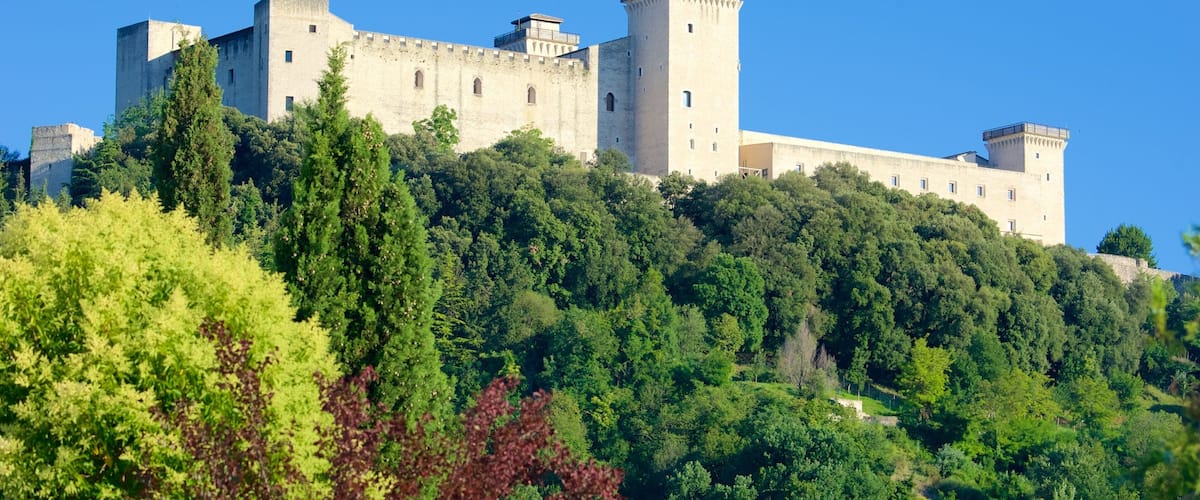 Eine Burg auf einem Hügel, umgeben von dichtem Wald.