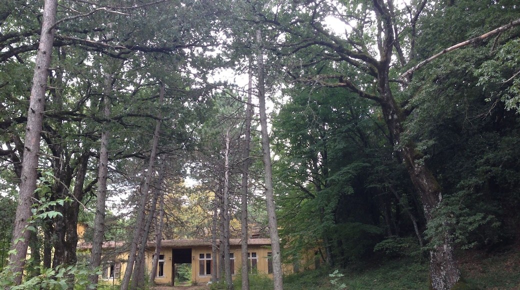 Monteluco. Colonia del popolo. Spoleto