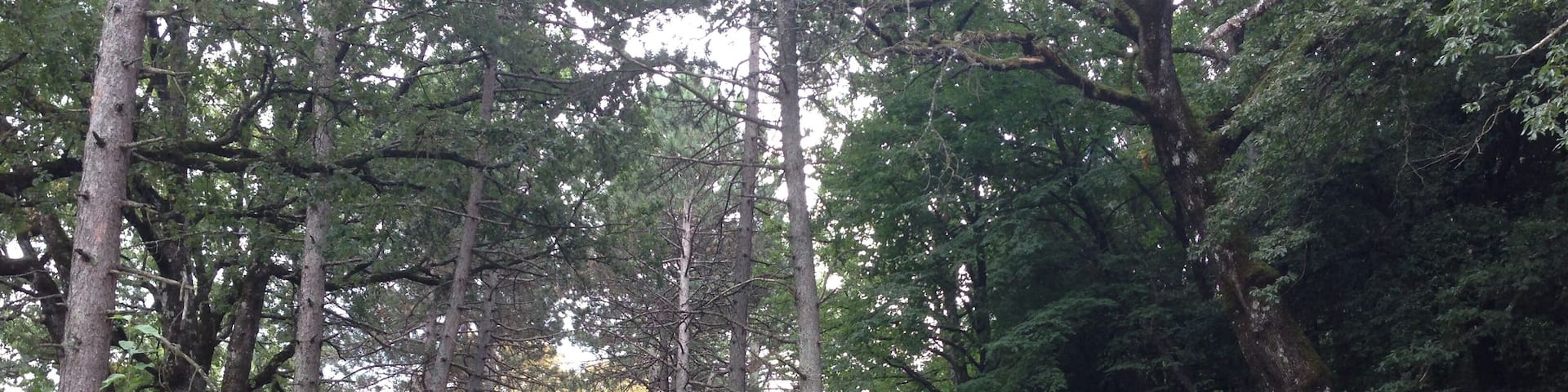 Monteluco. Colonia del popolo. Spoleto