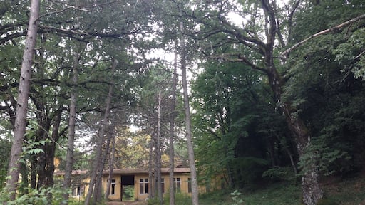 Monteluco. Colonia del popolo. Spoleto