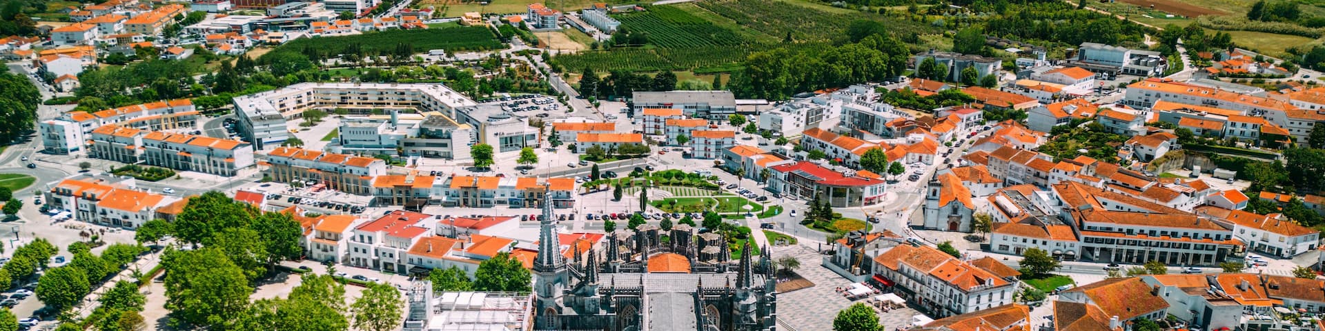 A panoramic view of a town with a prominent cathedral and surrounding residential buildings.