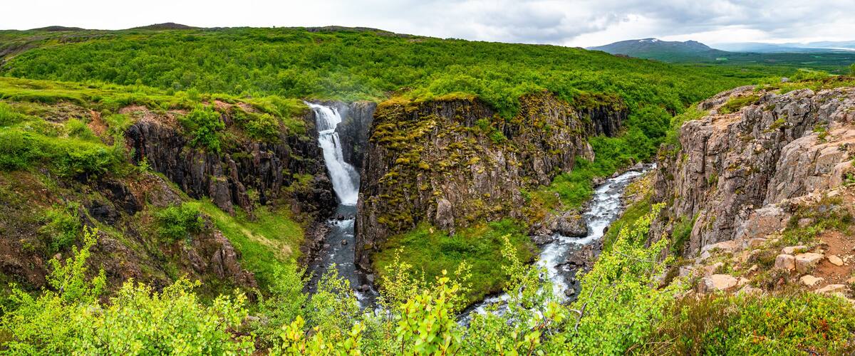 A waterfall cascading down a rocky gorge surrounded by lush green vegetation.