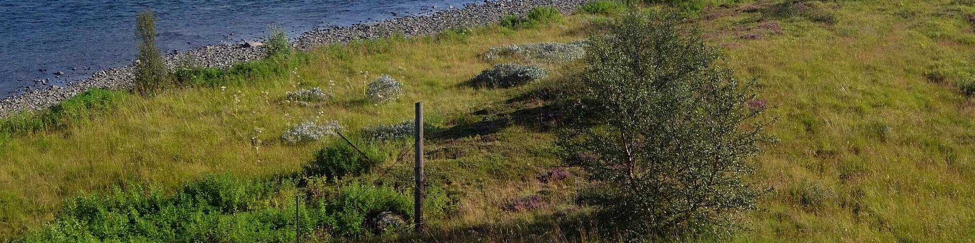 We took a drive around the river close to Egilsstadir and stumbled upon this beautiful view.
