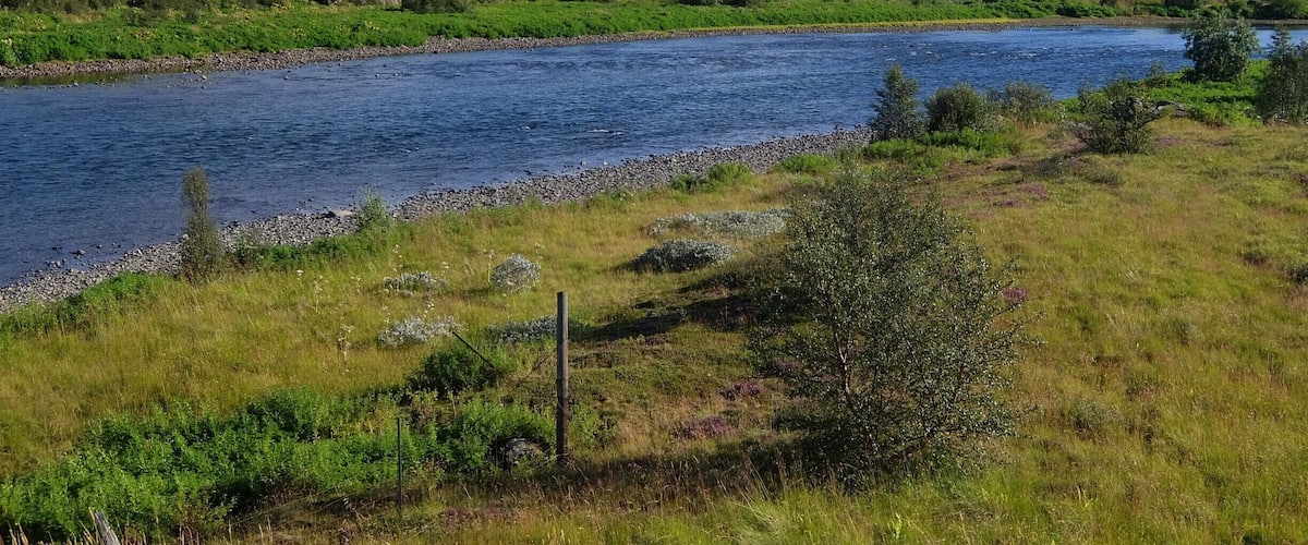 A river flowing through a valley with mountains in the background.