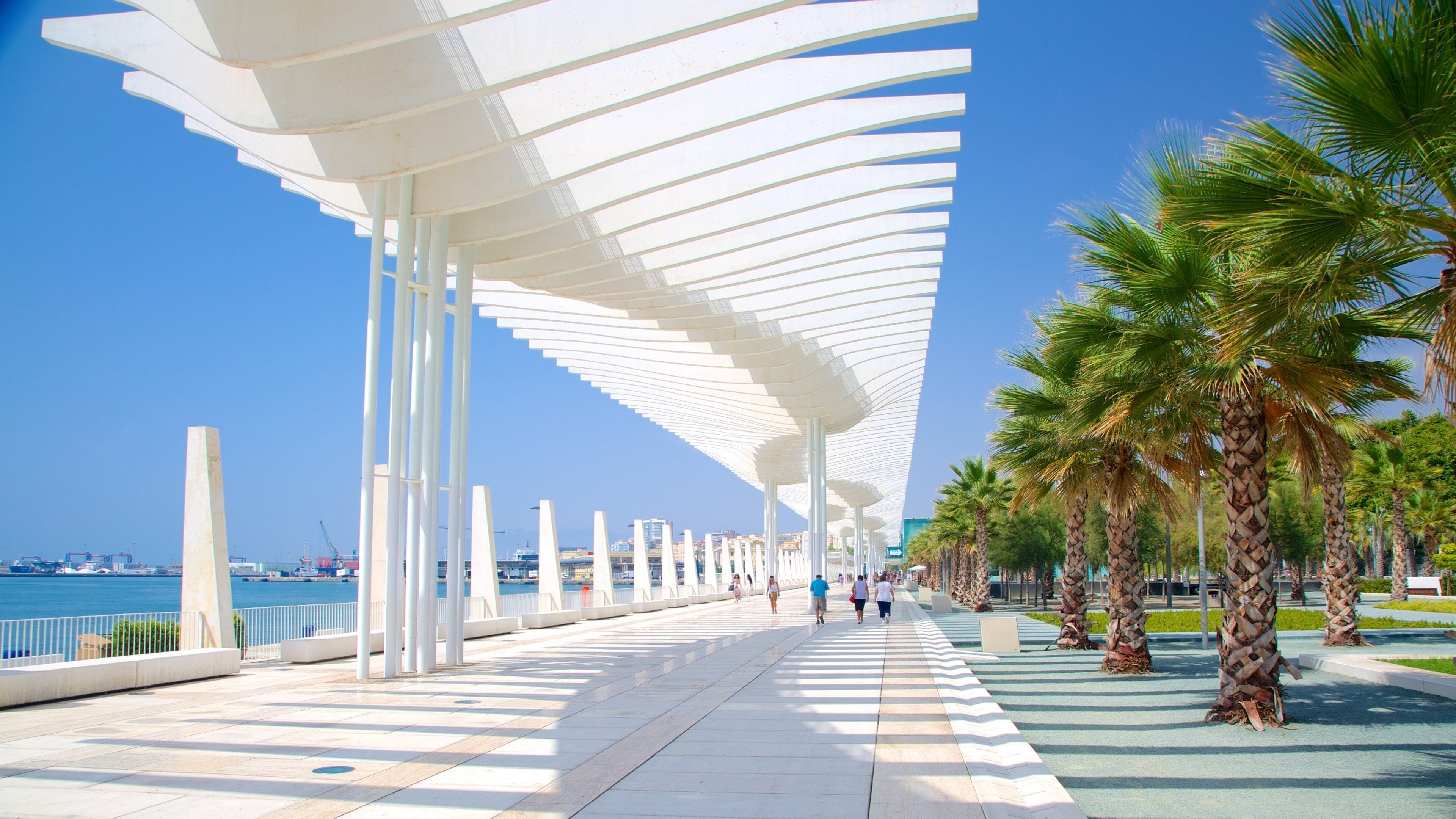 Malaga showing modern architecture, a bay or harbour and tropical scenes