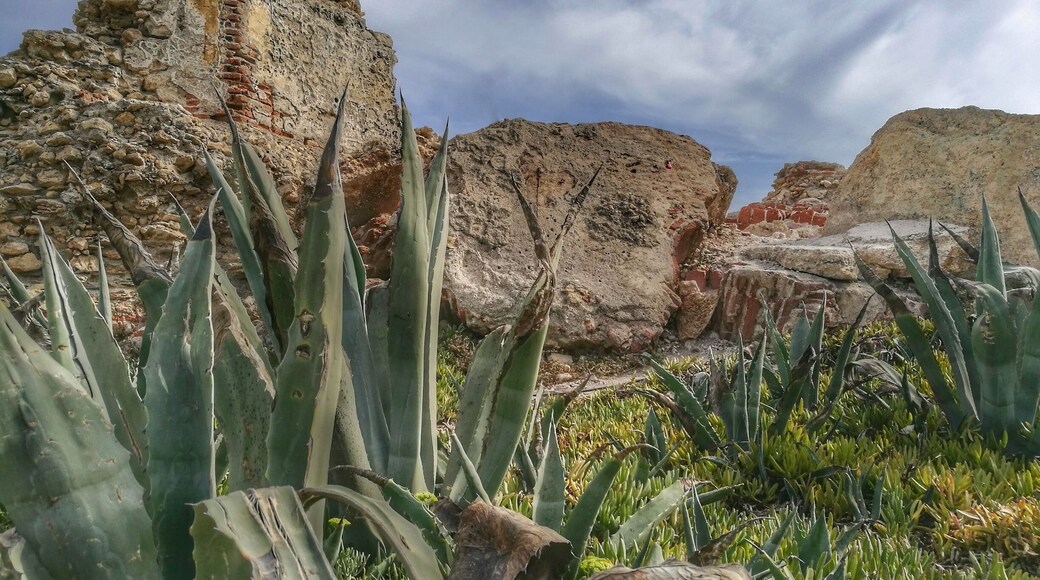 These beautiful remains of an old tower look out over Nerja beach