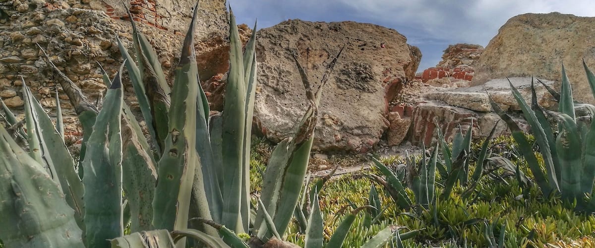 These beautiful remains of an old tower look out over Nerja beach