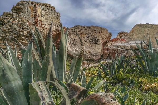 These beautiful remains of an old tower look out over Nerja beach