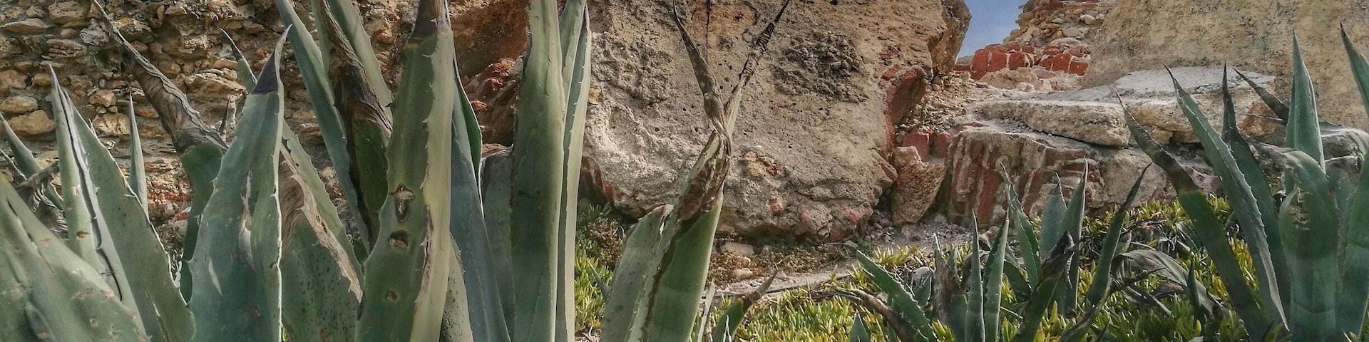 These beautiful remains of an old tower look out over Nerja beach