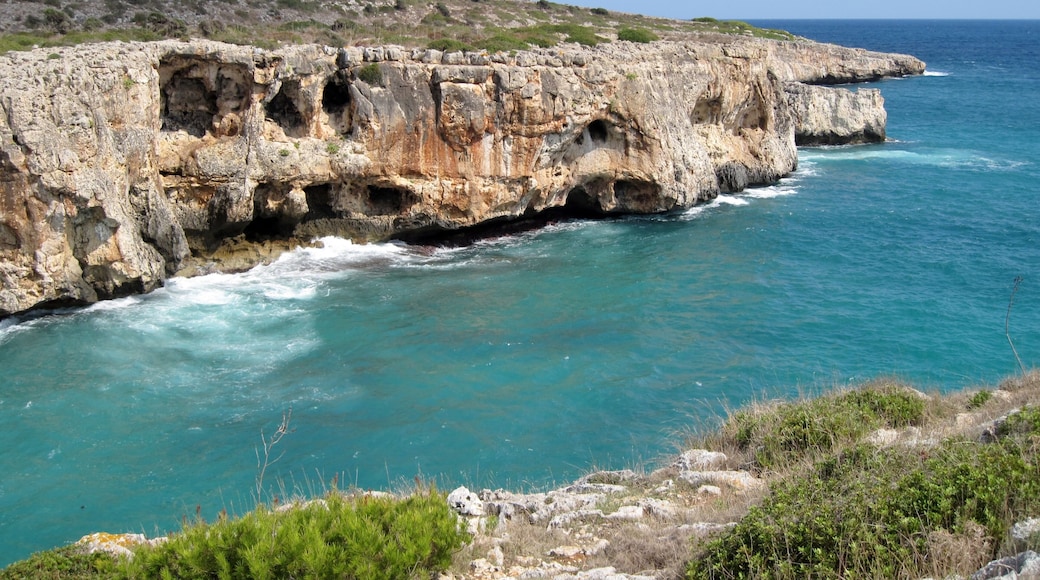 Cala Sequer, Bucht an der Küste der Gemeinde Manacor, Mallorca, Spanien
