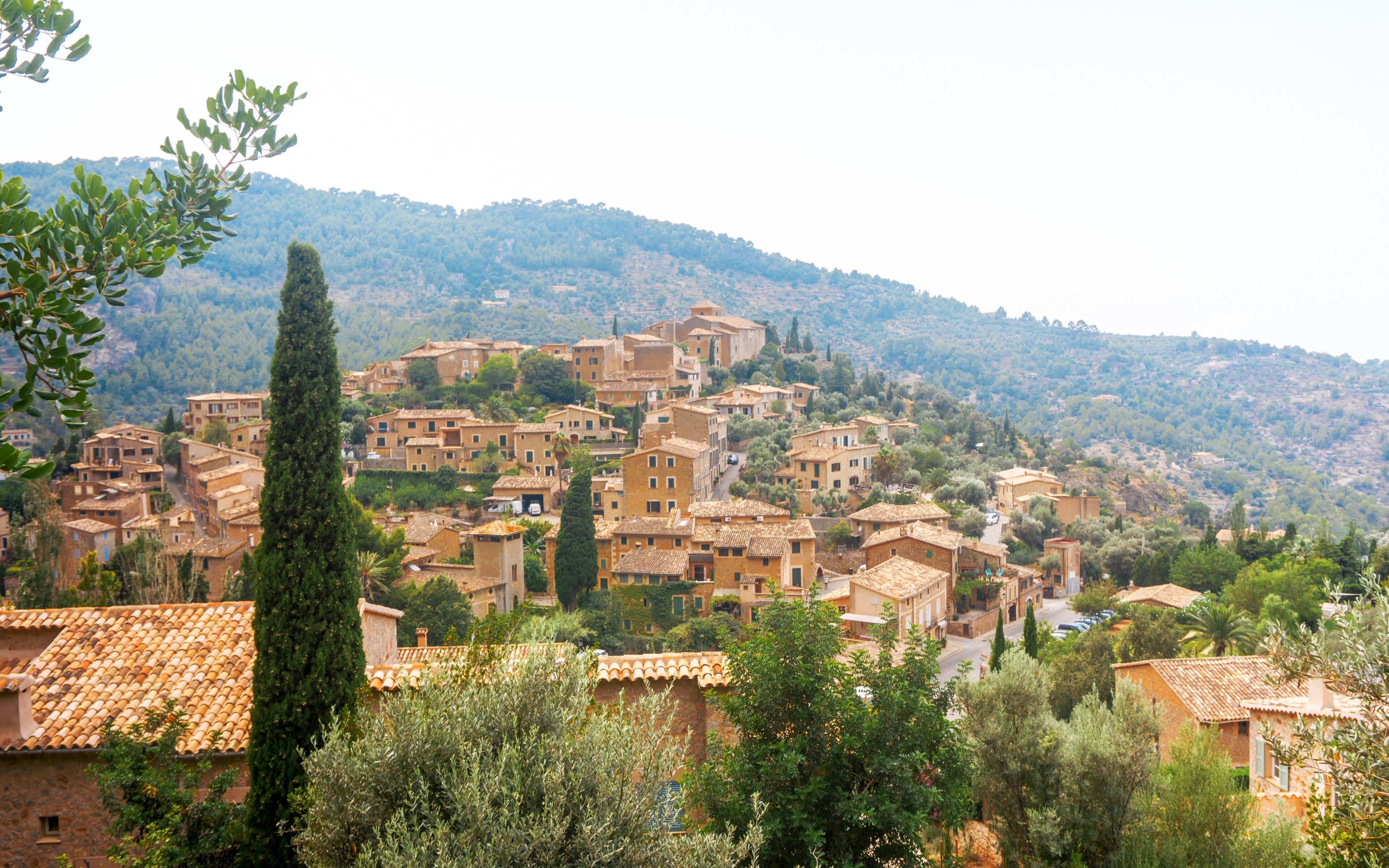 Valldemossa