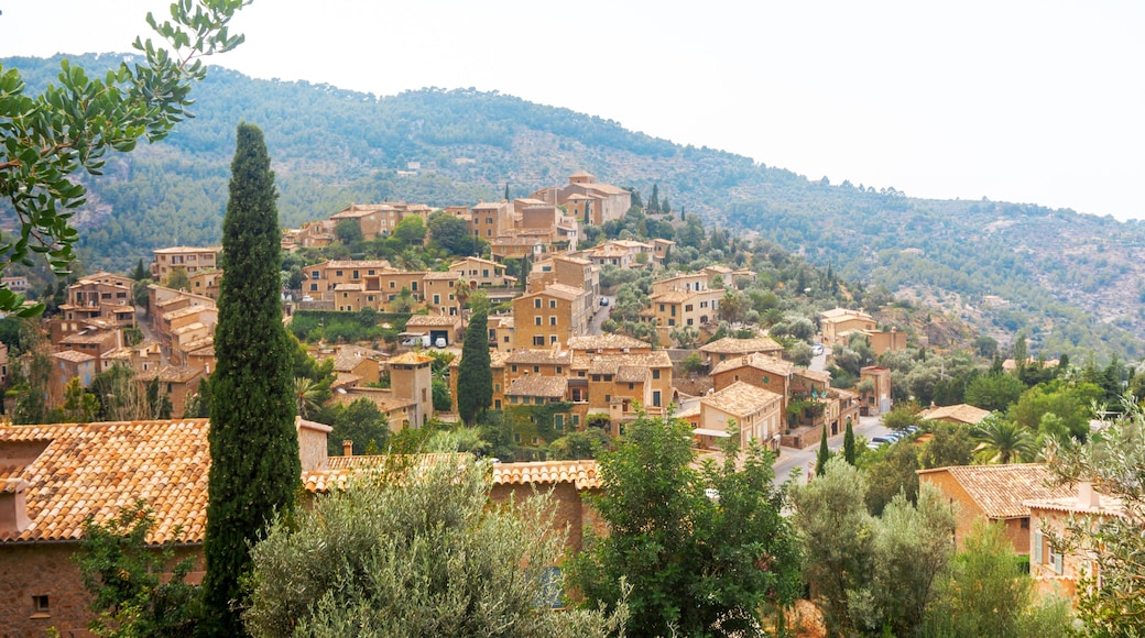 Valldemossa