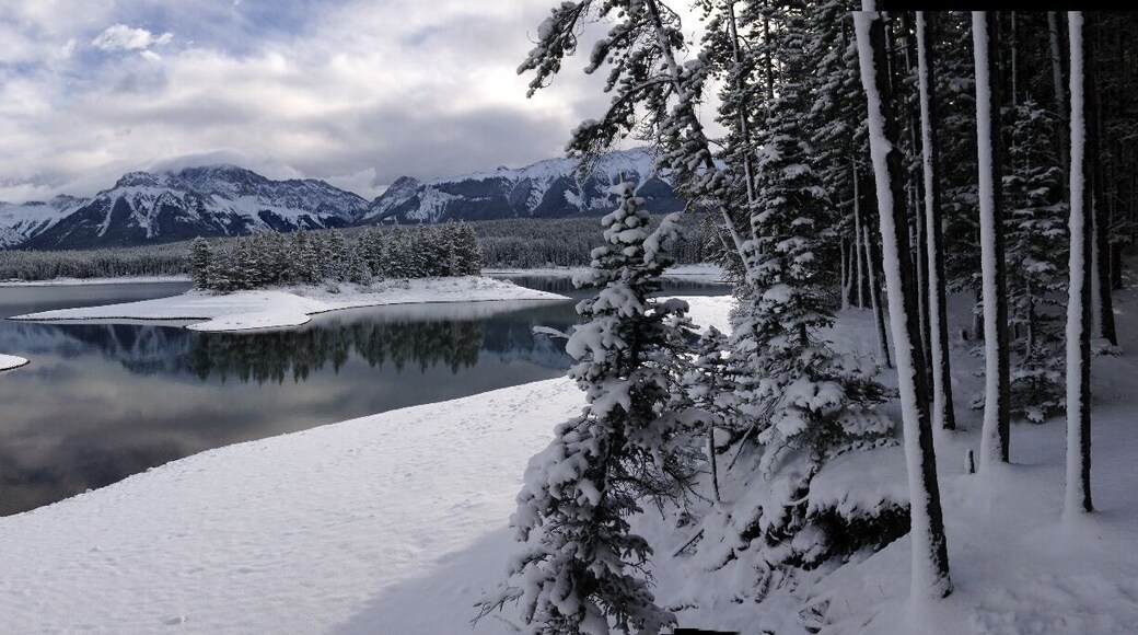Camping in the snow!