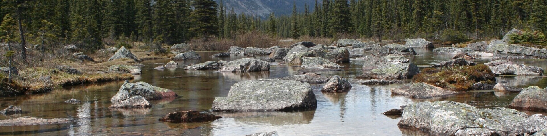 From the popular Moraine lake you can do an easy hike to Consolation Lakes. It takes you through the forest to an amazing view at the lake. There is a massive rocky open space and a very scenic river. #BestOf5