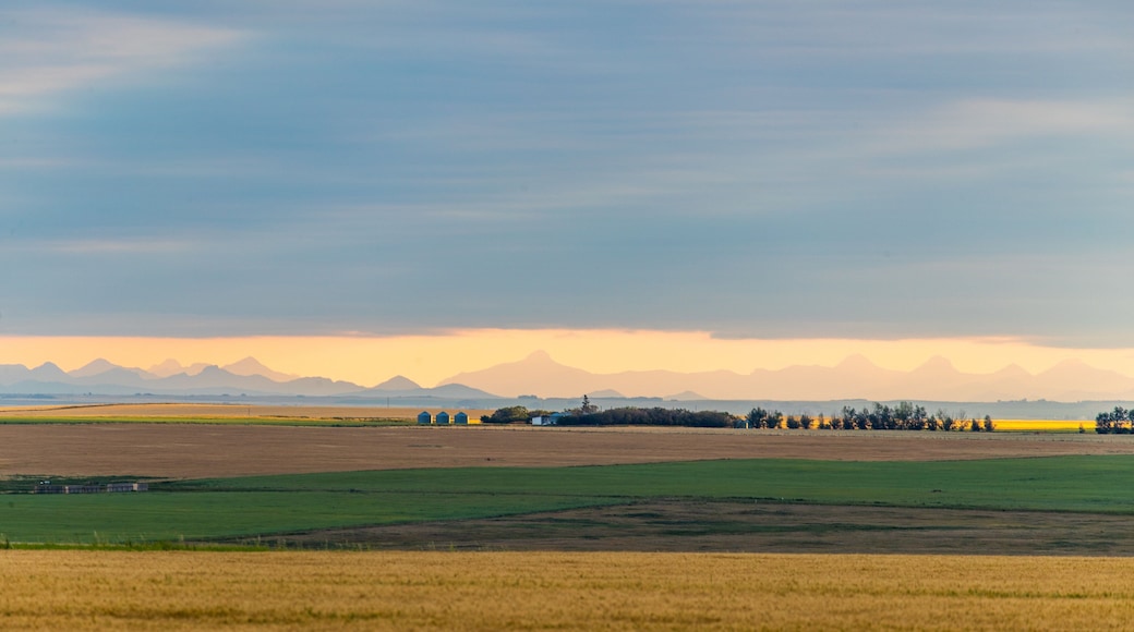 Alberta featuring farmland and a sunset