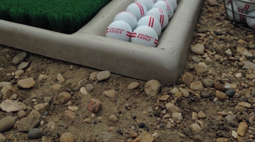 Never did get a ball through the hole in the plywood! (June 2015)