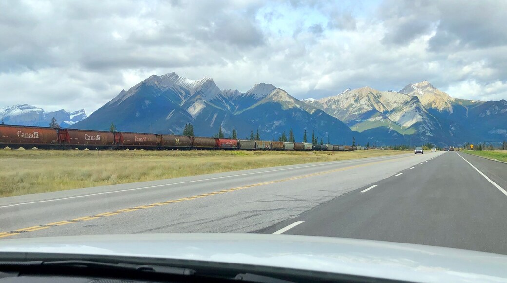 Train against the mountains in Jasper National Park. (September 2019)
#Trovember