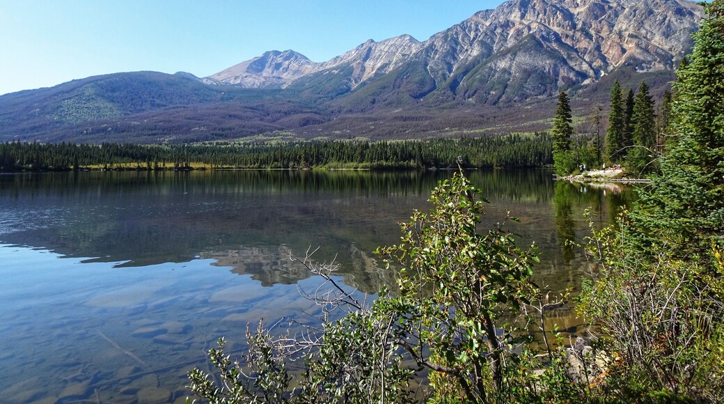 Pyramid Lake is a kidney-shaped lake in Jasper National Park, Alberta, Canada. It lies at the foot of Pyramid Mountain, a natural landmark that overlooks the town of Jasper. (September 2019)
#MyBackyard #Trovember