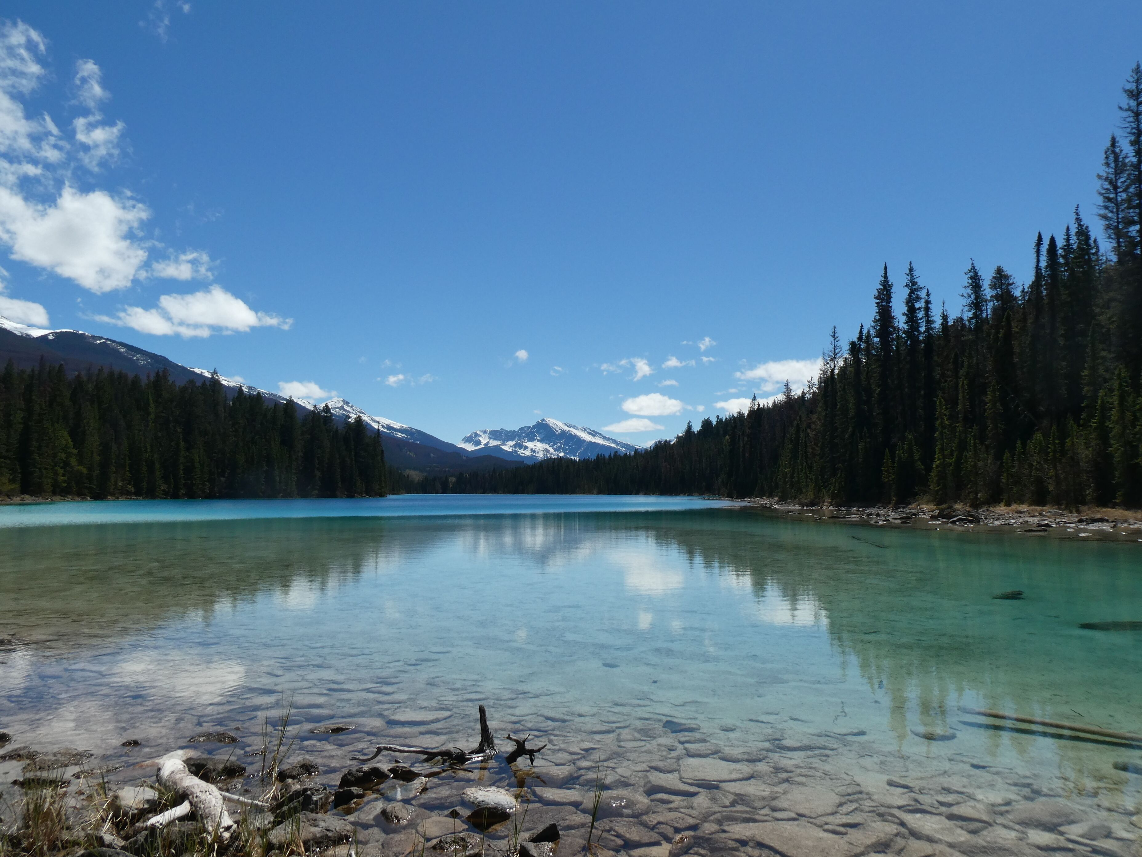 The hike around the Valley of Five Lakes will leave you speechless. The bluest blue lakes and amazing mountain ranges. Oh Jasper, you leave me speechless (and a bit breathless after this 7 mile hike). 