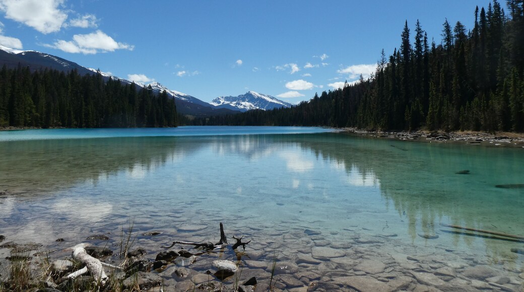 The hike around the Valley of Five Lakes will leave you speechless. The bluest blue lakes and amazing mountain ranges. Oh Jasper, you leave me speechless (and a bit breathless after this 7 mile hike).
