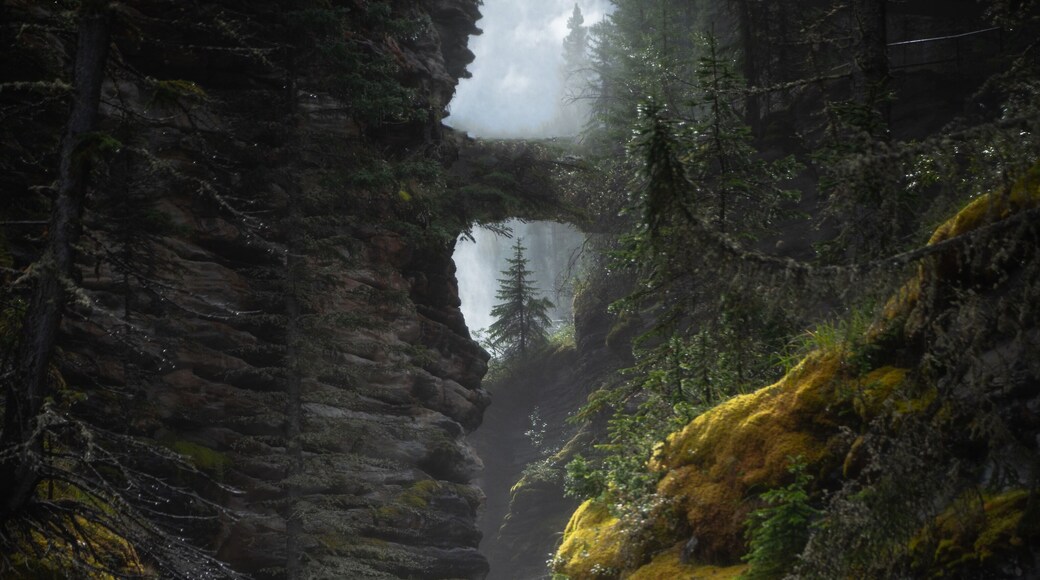 A hidden gem at Athabasca Falls from the lower right path by the pothole path looking back up the river. #Adventure
#explore #river #canyon #jasper #canada #landscape #photography