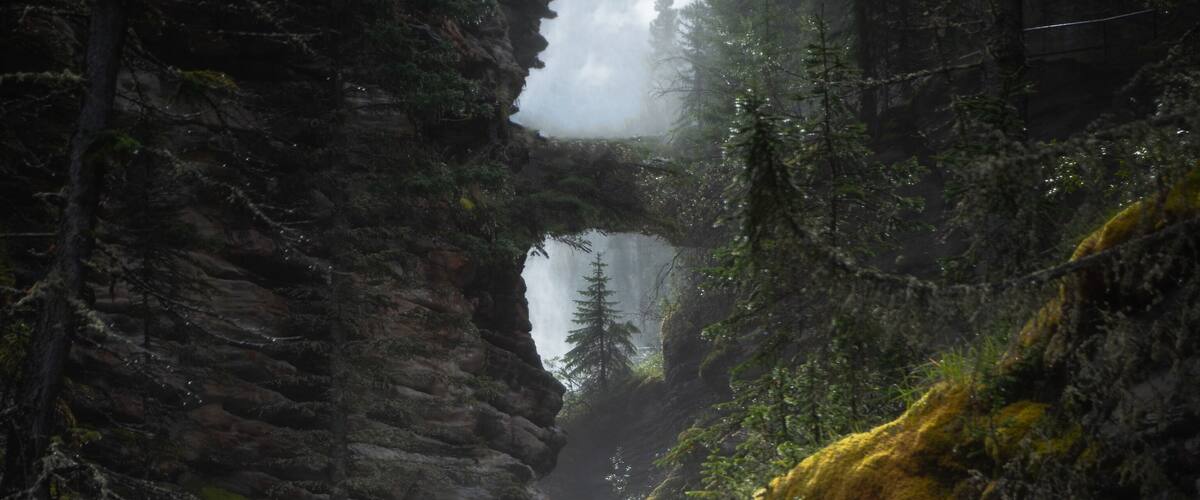 A hidden gem at Athabasca Falls from the lower right path by the pothole path looking back up the river. #Adventure
#explore #river #canyon #jasper #canada #landscape #photography