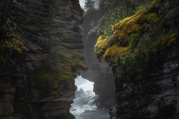 A hidden gem at Athabasca Falls from the lower right path by the pothole path looking back up the river. #Adventure
#explore #river #canyon #jasper #canada #landscape #photography
