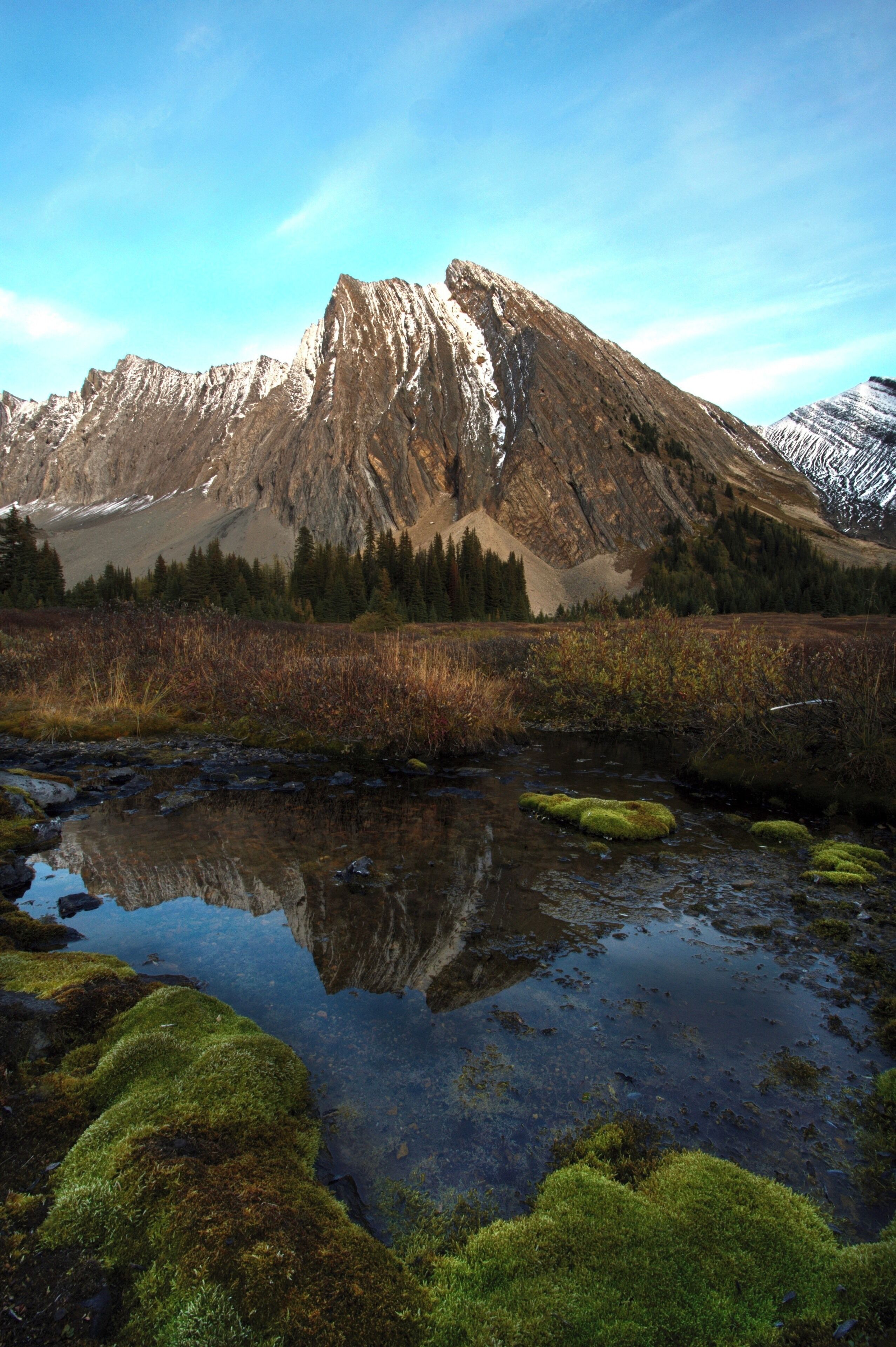 Got on my butt to take this one