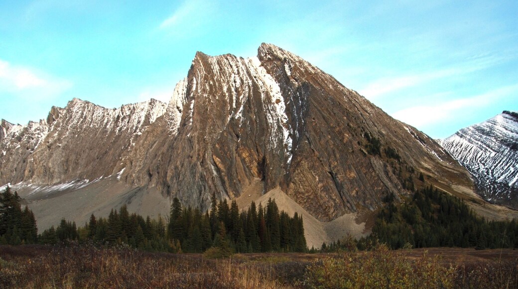 Got on my butt to take this one