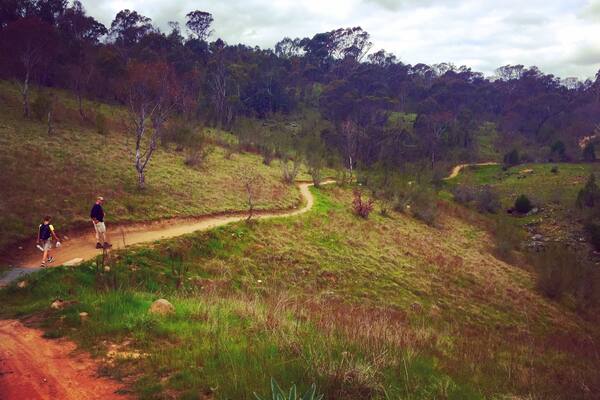 My family and I hiked a portion of section 6 of the Centenary Trail. We started at Kambah pool (a nice place to cool off after your hike) and did an out and back through Bullen Nature Reserve. Much of the trail within the reserve hugs the Murrumbidgee River, offering beautiful views along the way. #MurrumbidgeeRiver #BullenNatureReserve #CentenaryTrail #Canberra #Australia #VisitCanberra #hiking #outdoors