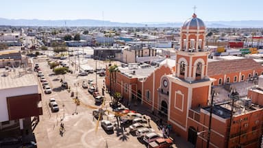 Un paisaje urbano con una iglesia destacada, que cuenta con una cúpula y un campanario, rodeada de palmeras y un estacionamiento.