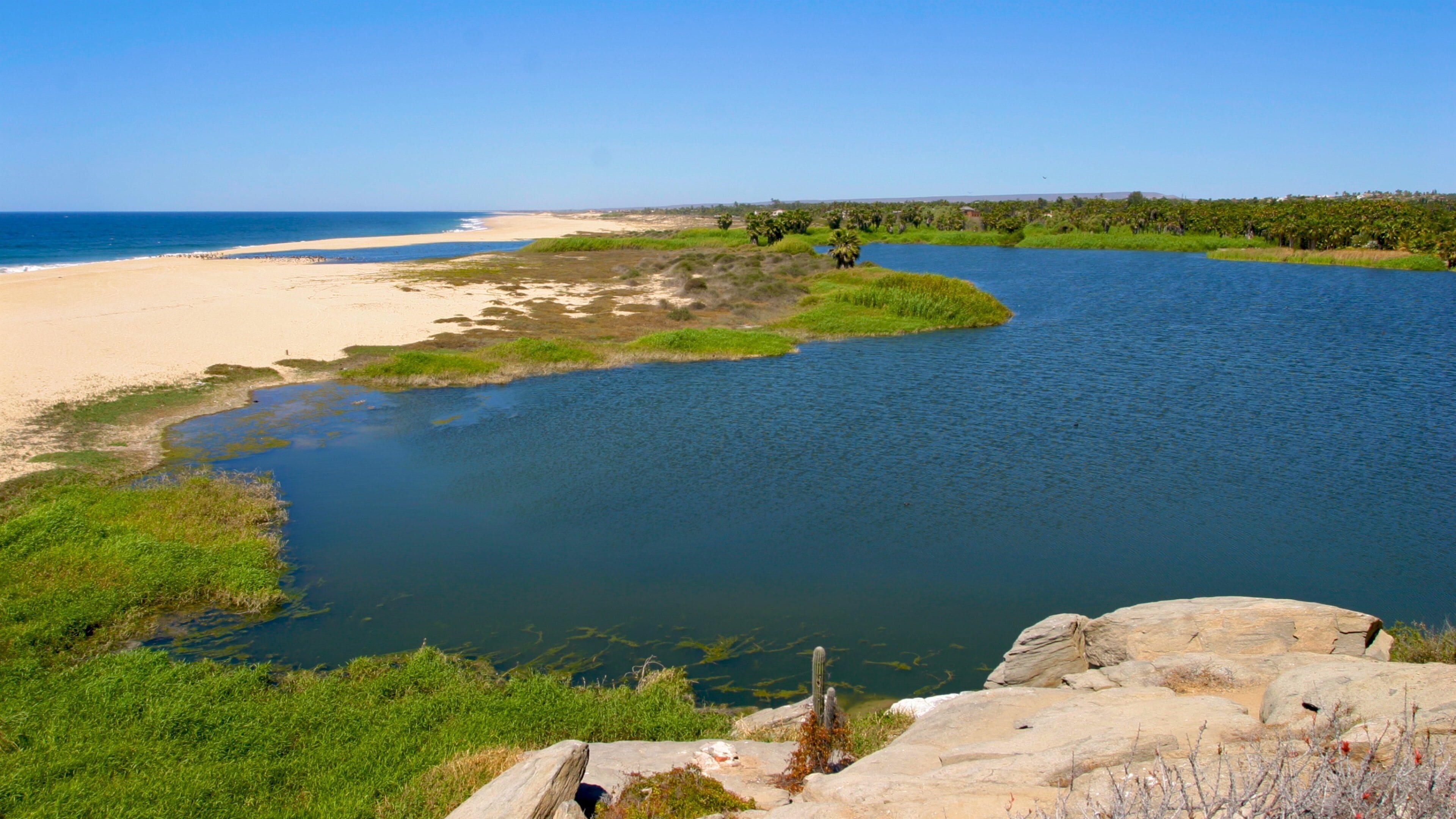 Mexico showing a sandy beach, a bay or harbor and rocky coastline