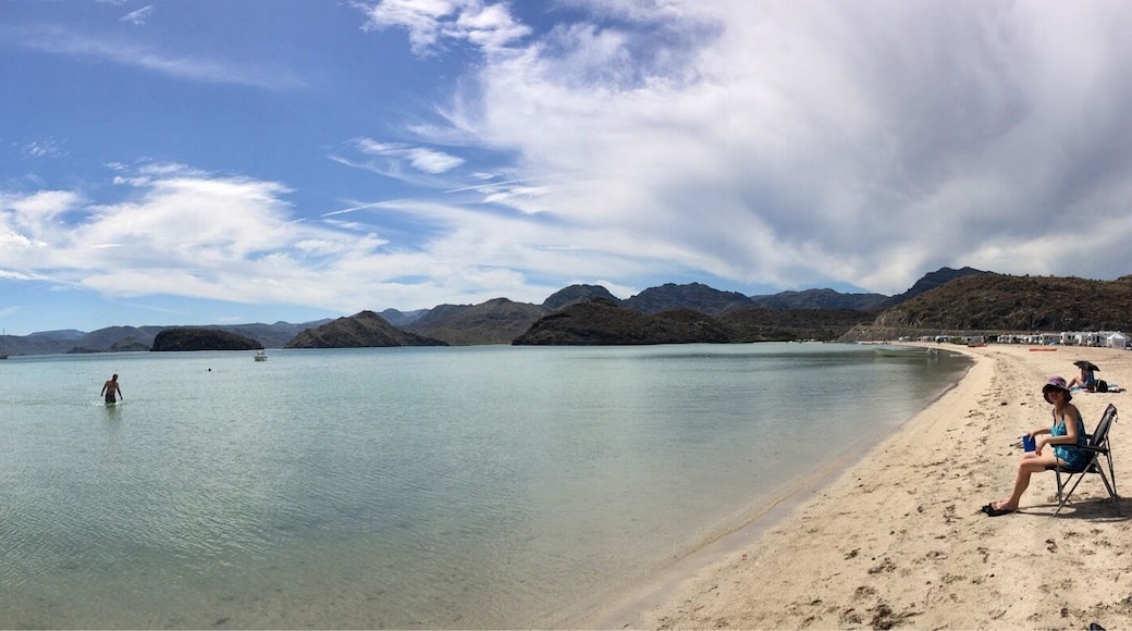 Pano of the beach. Several boats in from California, folks biking on the beach. Very relaxing.
#bajacalifornia
#beachbound
(Feb 2017)