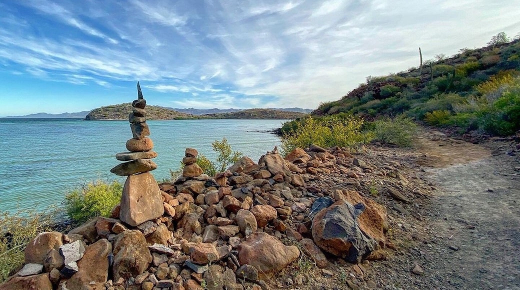 The short trail hike on the old Baja road just off the El Requeson beach. Beautiful views all around!