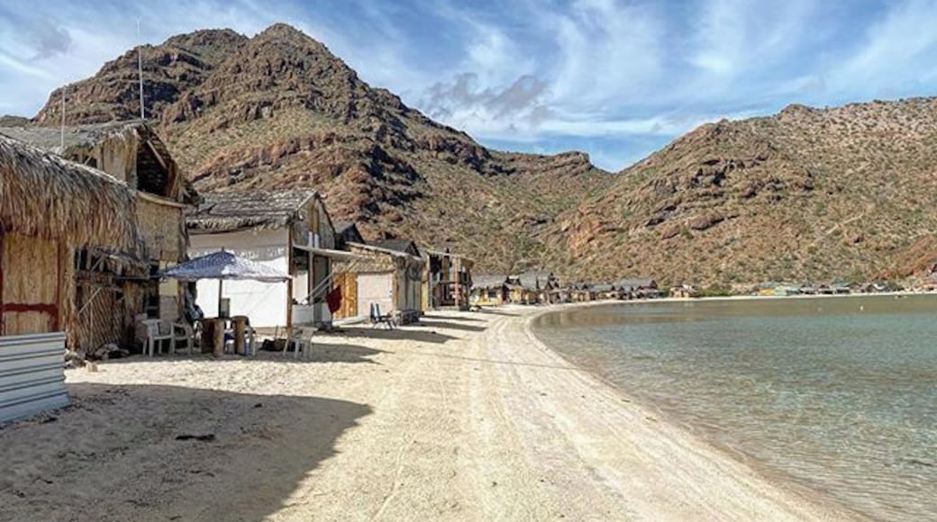 Its a great weekend spot to camp and paddle! I love the cute little beach houses as well!