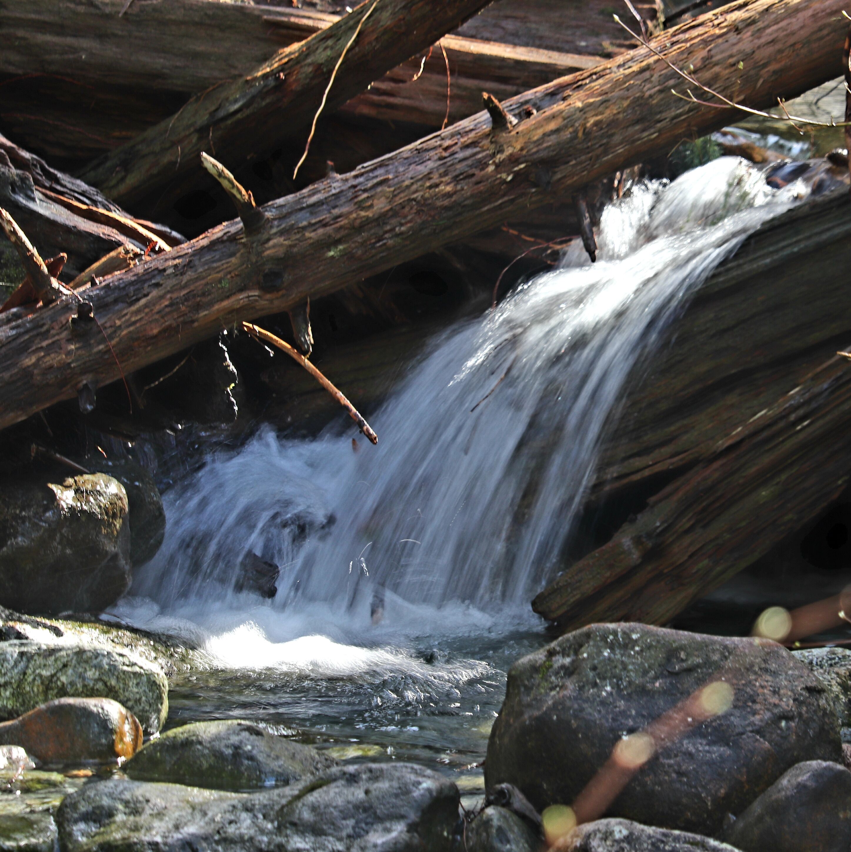 Babbling Brook
This brook feeding into Gold Creek was a must stop with the soft light breaking through the trees and reflecting onto the lower stream.

F5.6 1/15s ISO 100 163mm
