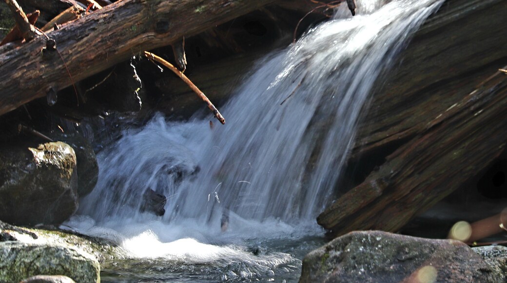 Babbling Brook
This brook feeding into Gold Creek was a must stop with the soft light breaking through the trees and reflecting onto the lower stream.
F5.6 1/15s ISO 100 163mm