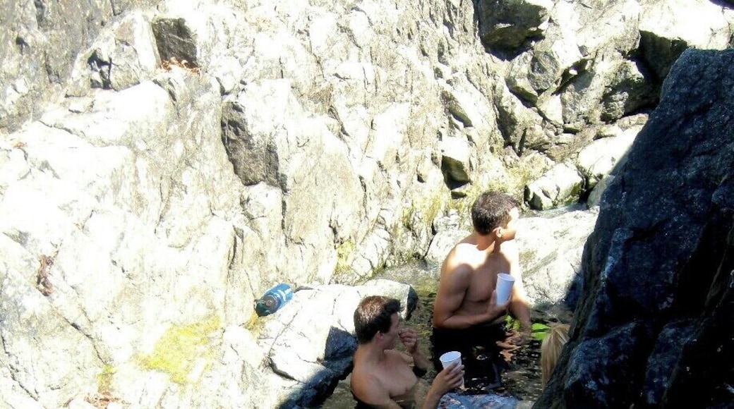 Visiting Hot Springs Cove is still one of my best memories of Tofino.
We did a tour with the Tofino Whale Center and it was great! Along the way we spotted bears, otters and even a whale!
The hot springs were super scenic, right next to the ocean.
A great experience that I'd love to do again!
#tofino #canada #britishcolumbia