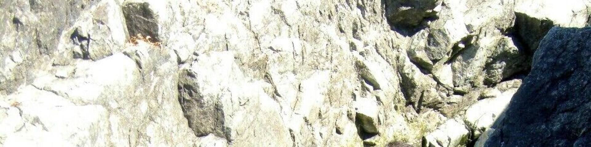 Visiting Hot Springs Cove is still one of my best memories of Tofino.
We did a tour with the Tofino Whale Center and it was great! Along the way we spotted bears, otters and even a whale!
The hot springs were super scenic, right next to the ocean.
A great experience that I'd love to do again!
#tofino #canada #britishcolumbia