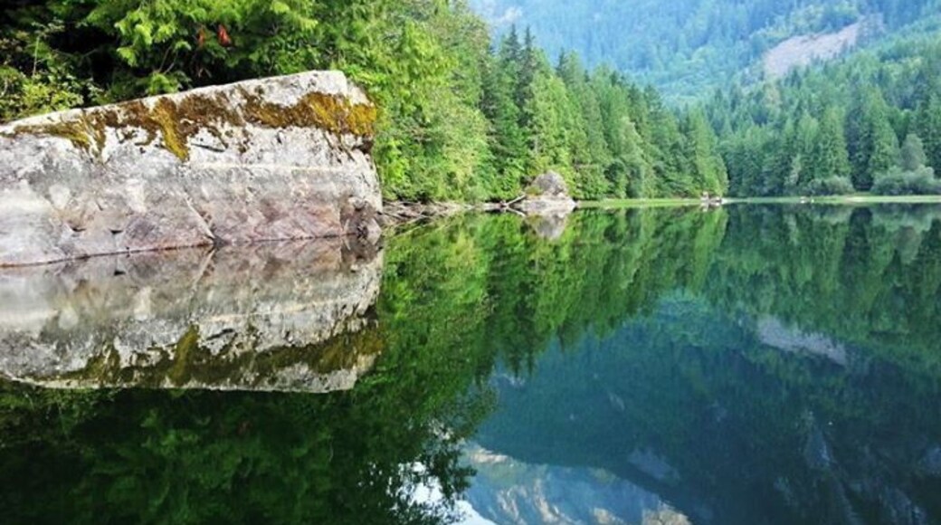 The water was like glass and the only thing cutting it was my canoe.
Silver Lake Provincial Park near Hope, British Columbia