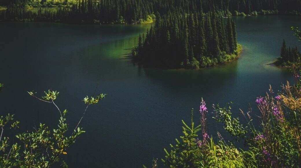 Taken near a ski resort in the Pine Pass, this is one of my favourite road side pull outs. How epic is this view?!
#BvSMountains
#Mountains
#canada
#britishcolumbia